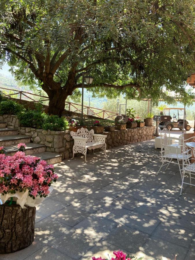 Agriturismo Nonno Luigino Vico Equense Exteriör bild