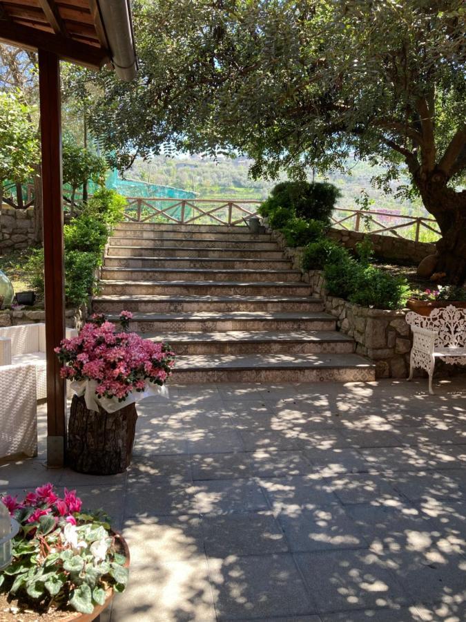Agriturismo Nonno Luigino Vico Equense Exteriör bild